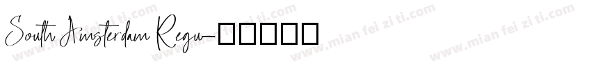 South Amsterdam Regu字体转换